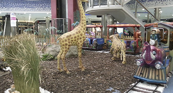 TREN SAFARY